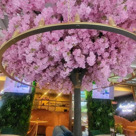 Lejlighed Palma In Harmony 2,3 *